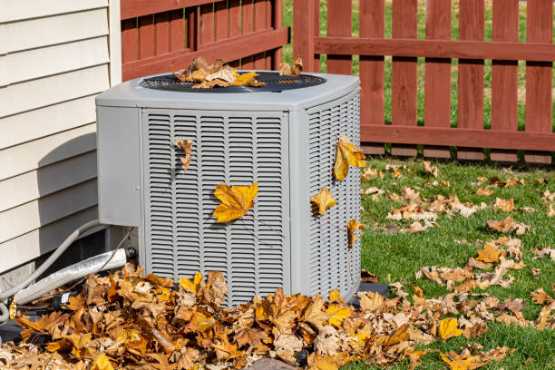 Best HVAC cleaning services  in Hemphill, TX